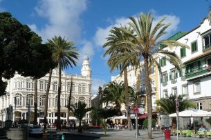 Flora y fauna de Las Palmas